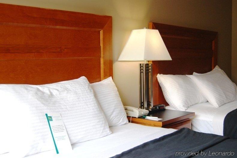 Quality Inn West Эдмонтон Номер фото