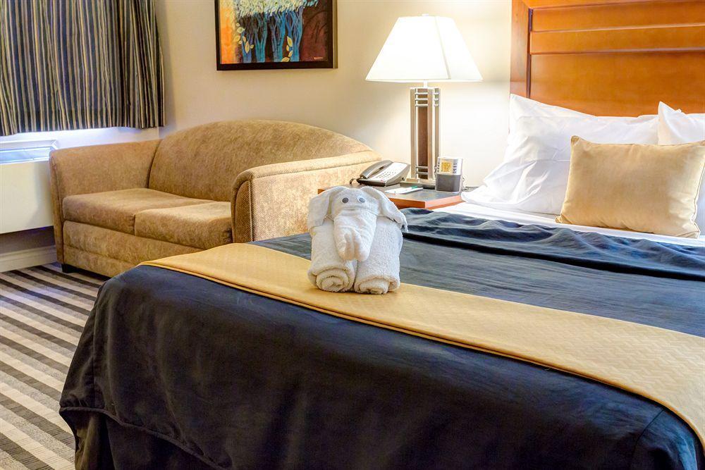 Quality Inn West Эдмонтон Экстерьер фото